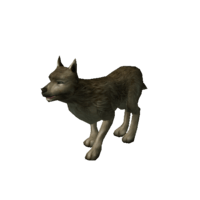 Chienerrant-min.png