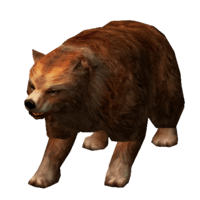 Oursbrun-min.png